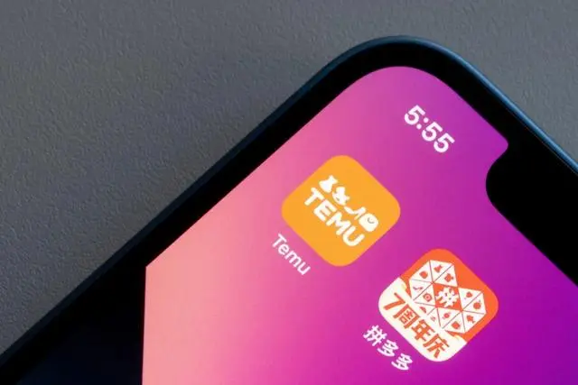 TEMU计划拓展消费品领域业务